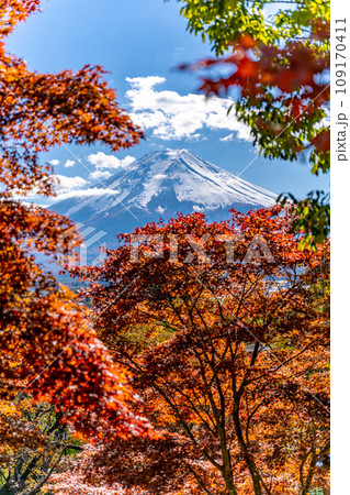 新倉山浅間公園　雄大な富士山と桜の紅葉　秋 109170411