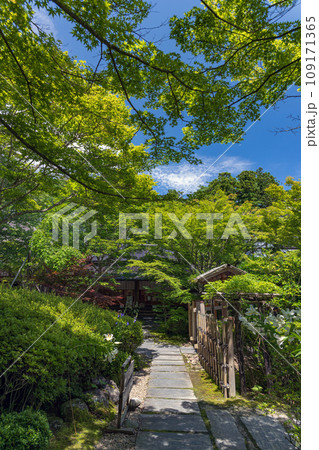 宮城松島 円通寺 初夏の庭園風景 109171365