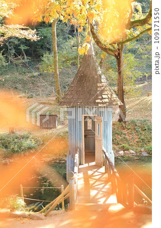 紅葉のあけぼのこどもの森公園 池の上の青い建物と黄色いメタセコイア 紅葉のあけぼのこどもの森公園 池の上の青い建物と黄色いメタセコイア 109171550