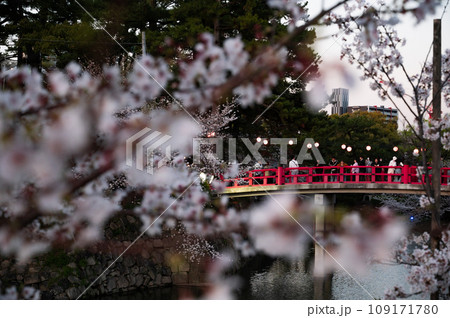 日本の美しさを彩る赤い橋と桜 109171780