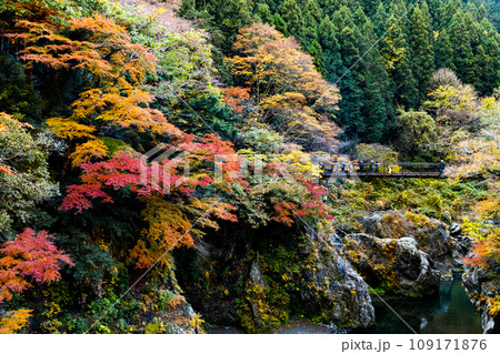 東京都奥多摩町　鳩ノ巣渓谷の紅葉 109171876