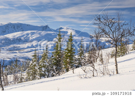 Winter Norway landscape with forest, mountains and fjord. New Year and Christmas background Winter Norway landscape with forest, mountains and fjord. New Year and Christmas background 109171918