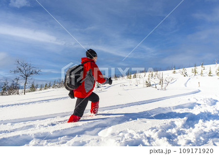 Sporty person in red sport jacket enjoys snow and breathtaking Norwegian landscape. Sunny winter activity. Sporty person in red sport jacket enjoys snow and breathtaking Norwegian landscape. Sunny winter activity. 109171920