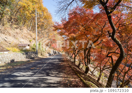 四阿屋山の薬師堂コース(秩父) 四阿屋山の薬師堂コース(秩父) 109172310