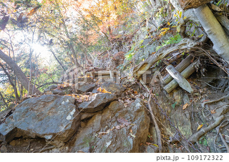 四阿屋山の山頂付近のクサリ場(秩父) 四阿屋山の山頂付近のクサリ場(秩父) 109172322