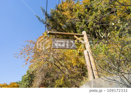 四阿屋山の鳥居山ハイキングコースの登山口(秩父) 四阿屋山の鳥居山ハイキングコースの登山口(秩父) 109172332
