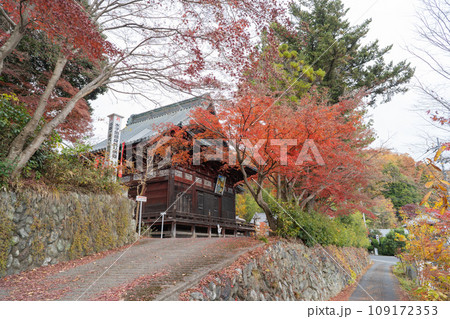 萬部寺（秩父札所三十四ヵ所観音霊場） 109172353