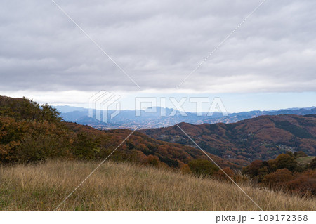 秩父高原牧場から見た景色(遠景に両神山) 秩父高原牧場から見た景色(遠景に両神山) 109172368