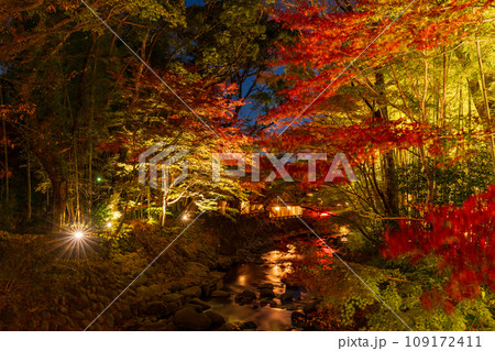（静岡県）修善寺温泉・桂川の紅葉ライトアップ 109172411