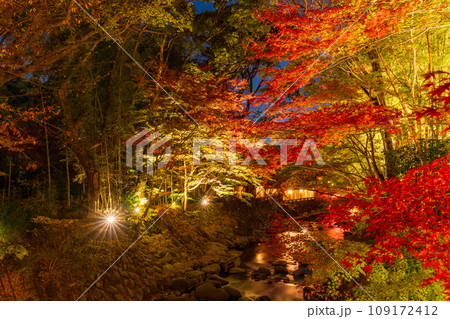(静岡県)修善寺温泉・桂川の紅葉ライトアップ (静岡県)修善寺温泉・桂川の紅葉ライトアップ 109172412