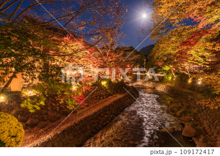 （静岡県）修善寺温泉・桂川の紅葉ライトアップ 109172417