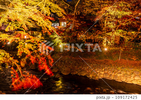 （静岡県）修善寺温泉・桂川の紅葉ライトアップ 109172425
