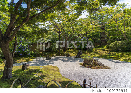 宮城松島 円通院 雲外天地の庭 109172911