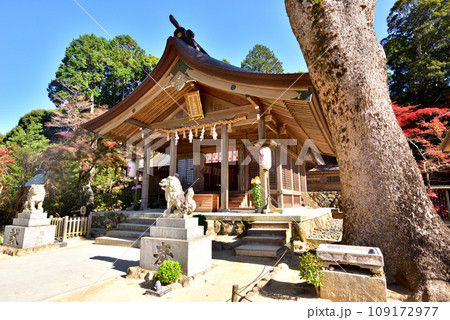 宝満宮竈神社　かまど神社　鬼滅の刃発祥の地　福岡県太宰府市　 109172977