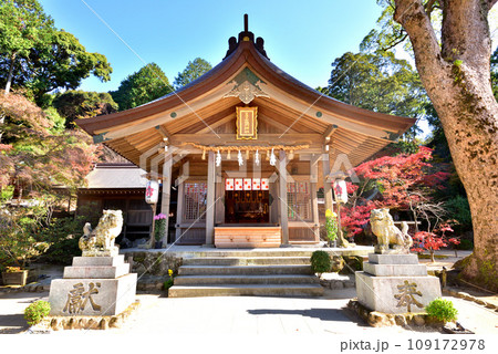 宝満宮竈神社　かまど神社　鬼滅の刃発祥の地　福岡県太宰府市　 109172978