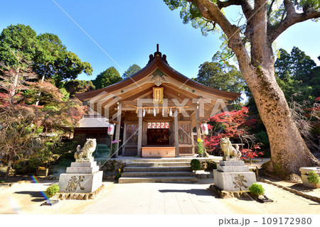 宝満宮竈神社　かまど神社　鬼滅の刃発祥の地　福岡県太宰府市　 109172980