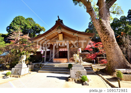宝満宮竈神社　かまど神社　鬼滅の刃発祥の地　福岡県太宰府市　 109172981
