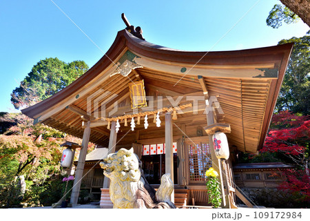 宝満宮竈神社　かまど神社　鬼滅の刃発祥の地　福岡県太宰府市　 109172984