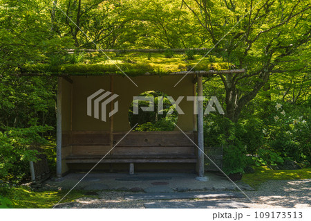 宮城松島 円通院 庭園の東屋 宮城松島 円通院 庭園の東屋 109173513