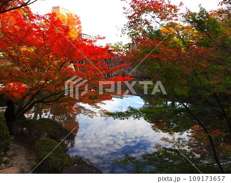 和歌山県西之丸庭園の紅葉 和歌山県西之丸庭園の紅葉 109173657