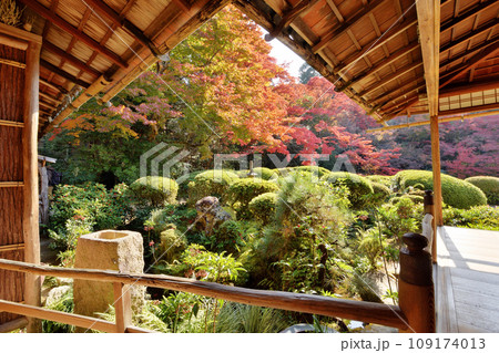 詩仙堂の紅葉 詩仙堂の紅葉 109174013