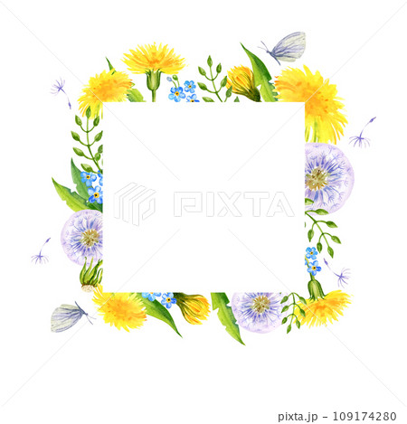 watercolor square frame with summer field flowers, hand draw illustration of yellow dandelions and blow balls, leaves, herbs, butterfly on white background watercolor square frame with summer field flowers, hand draw illustration of yellow dandelions and blow balls, leaves, herbs, butterfly on white background 109174280