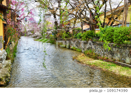 京都 祇園白川の美しい桜と春の風景(京都府京都市) 京都 祇園白川の美しい桜と春の風景(京都府京都市) 109174390