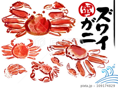ズワイガニの手描き筆書き和風イラスト素材 ズワイガニの手描き筆書き和風イラスト素材 109174829