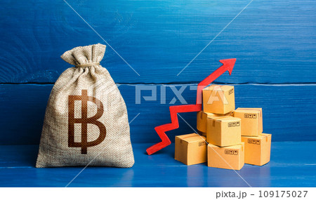 Thai baht money bag with boxes and up arrow. Good consumer sentiment and demand for goods. Income increase, acceleration and growing of economy. High sales. Production rise. Growing prices 109175027