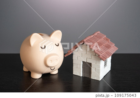 Calm sleepy pig piggy bank with a house. Collect money to buy a house. Deposits and real estate investments. Calm sleepy pig piggy bank with a house. Collect money to buy a house. Deposits and real estate investments. 109175043