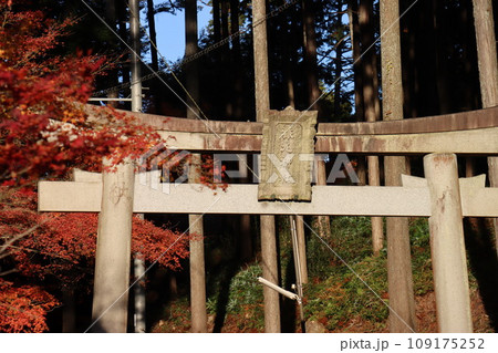 猿丸神社 猿丸神社 109175252
