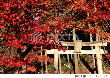 猿丸神社 109175253