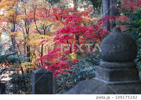 猿丸神社 109175282
