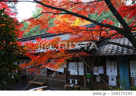 猿丸神社 猿丸神社 109175285