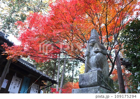 猿丸神社 猿丸神社 109175294