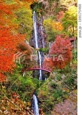《岐阜県》加茂郡八百津町 秋の五宝滝 《岐阜県》加茂郡八百津町 秋の五宝滝 109175460