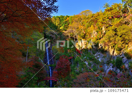 《岐阜県》加茂郡八百津町　秋の五宝滝 109175471