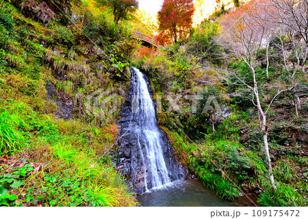 《岐阜県》加茂郡八百津町　秋の五宝滝 109175472