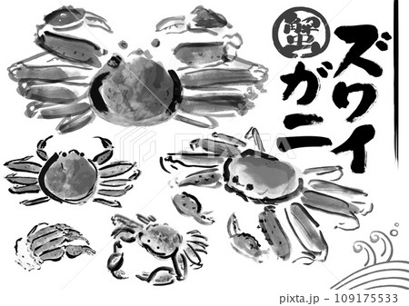 ズワイガニの手描き筆書き和風イラスト素材 モノクロ ズワイガニの手描き筆書き和風イラスト素材 モノクロ 109175533