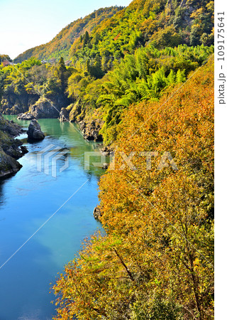 《岐阜県》加茂郡八百津町　秋の兼山橋からの風景 109175641