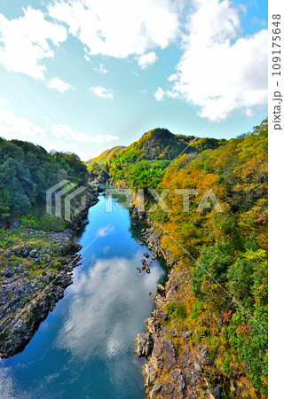《岐阜県》加茂郡八百津町　秋の兼山橋からの風景 109175648