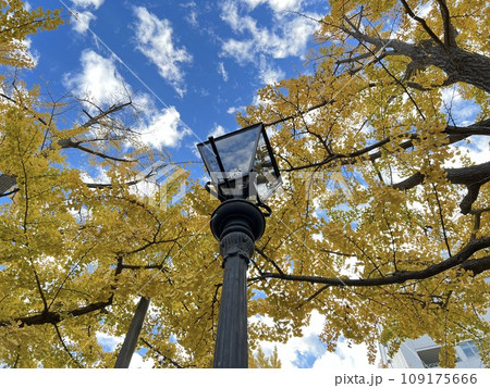 秋の青空とレトロな街灯 109175666