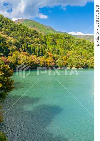 静岡県大井川鐵道の絶景巡り　井川ダム湖（井川湖） 109175889