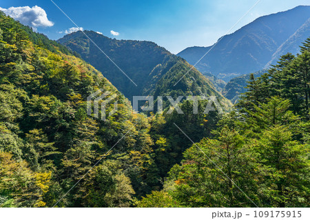 静岡県大井川鐵道の絶景巡り　南アルプスあぷとラインからの眺め 109175915
