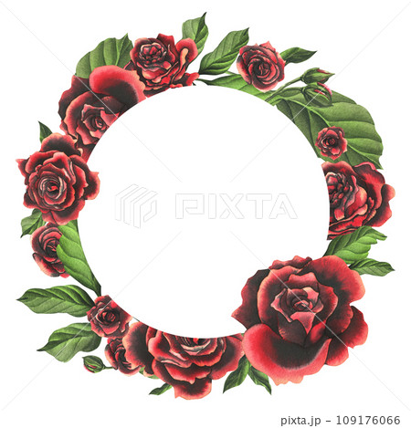 Red-black rose flowers with green leaves and buds, chic, bright, beautiful. Hand drawn watercolor illustration. Circle wreath, frame, template on a white background, for decoration and design. Red-black rose flowers with green leaves and buds, chic, bright, beautiful. Hand drawn watercolor illustration. Circle wreath, frame, template on a white background, for decoration and design. 109176066