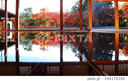 宝徳寺　秋の床もみじ 109176389