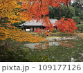 浄瑠璃寺本堂の紅葉 109177126