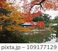浄瑠璃寺本堂の紅葉 109177129