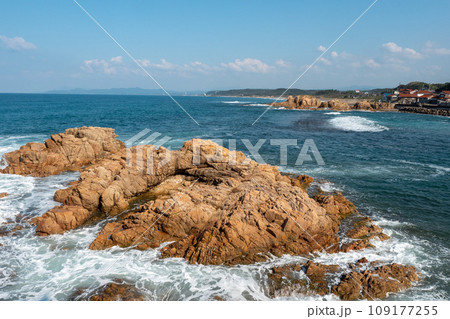 秋の衣毘須神社と小浜海岸 秋の衣毘須神社と小浜海岸 109177255