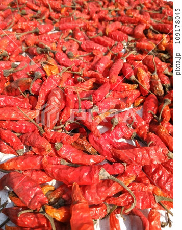 Fresh Dry red chilies with blur background Fresh Dry red chilies with blur background 109178045
